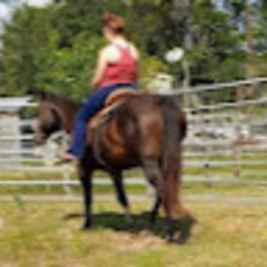 Meet your Posher, Lilli-ayn